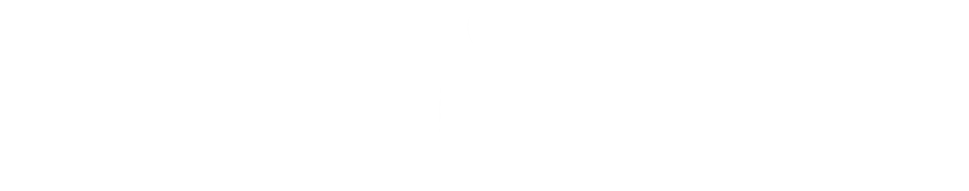 Wollongong Web Design